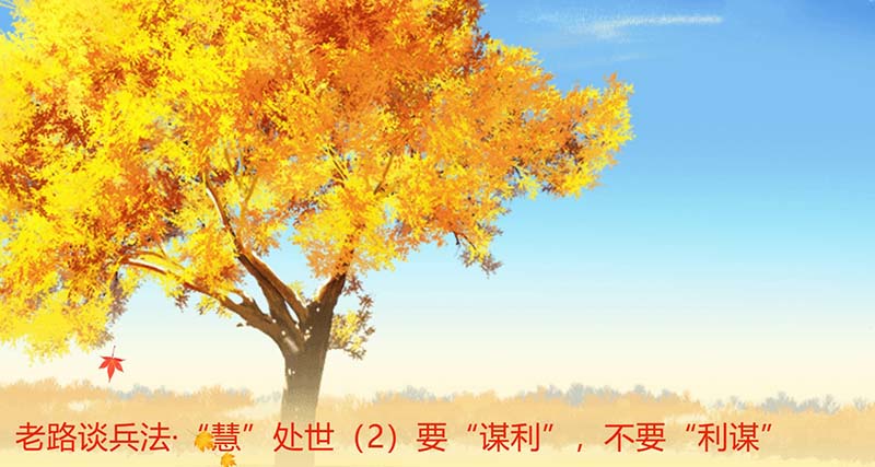 屏幕截图 2023-11-03 215547